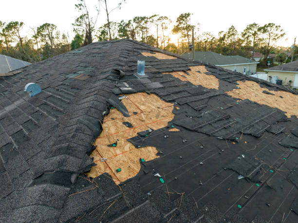 Best Asphalt Shingles Roofing  in Gordonsville, VA